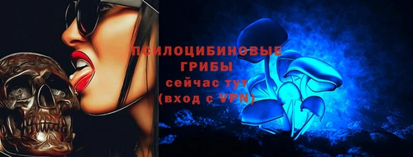 spice Бугульма