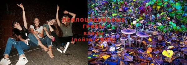 spice Бугульма