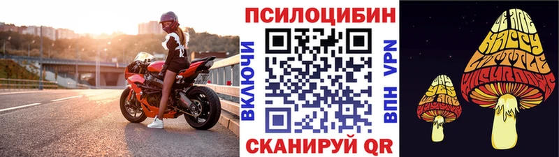 МЕГА ССЫЛКА Армавир Псилоцибиновые грибы мицелий где купить наркоту